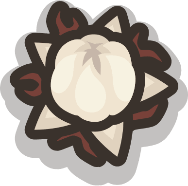 Winter Seed Plant
